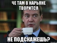 че там в нарьяне творится не подскажешь?