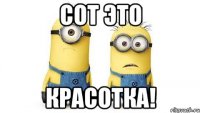 сот это красотка!