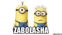  zabolasha