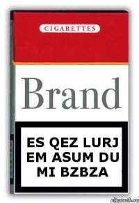 Es qez lurj em asum du mi BZBZA