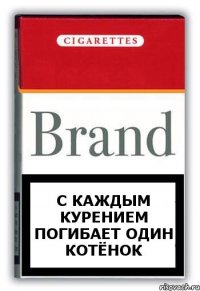 С каждым курением погибает один котёнок