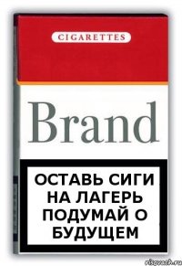 оставь сиги на лагерь подумай о будущем