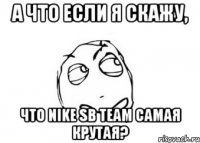 а что если я скажу, что nike sb team самая крутая?