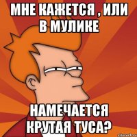 мне кажется , или в мулике намечается крутая туса?