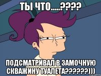 ты что.....??? подсматривал в замочную скважину туалета???)))