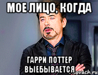 мое лицо, когда гарри поттер выебывается