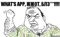 What's app, ЖЖОТ, блэ***!!!