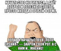 начальство не ругается, а даёт добрые и полезные советы, просто иногда в грубой форме. попав к начальству в «поле зрения», — закрой свой рот, а с ним и… мнение!