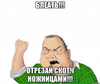 блеать!!! отрезай скотч ножницами!!!