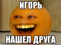 игорь нашел друга