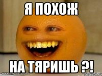 я похож на тяришь ?!