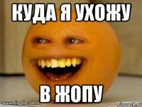 куда я ухожу в жопу