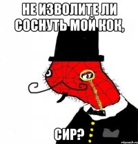 не изволите ли соснуть мой кок, сир?
