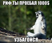 риф,ты проебал 1000$ узбагойся