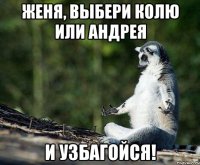 женя, выбери колю или андрея и узбагойся!