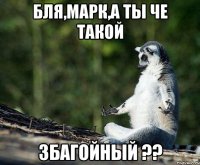 бля,марк,а ты че такой збагойный ??