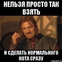 нельзя просто так взять и сделать нормального кота сразу