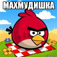 махмудишка 