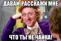 давай, расскажи мне что ты не чайка!