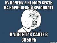 ну почему я не могу сесть на коричневый краснолёт и улететь к санте в сибирь