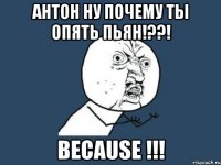 антон ну почему ты опять пьян!??! because !!!