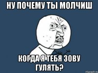 ну почему ты молчиш когда я тебя зову гулять?