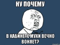 ну почему в кабинете мухи вечно воняет?