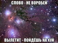 слово - не воробей вылетит - пойдёшь на хуй