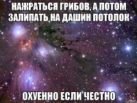 нажраться грибов, а потом залипать на дашин потолок охуенно если честно