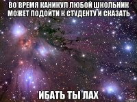 во время каникул любой школьник может подойти к студенту и сказать ибать ты лах
