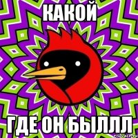 какой где он быллл