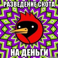 разведение скота на деньги