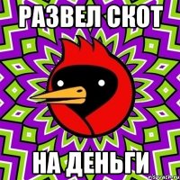 развел скот на деньги