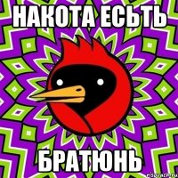 накота есьть братюнь