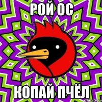 рой ос копай пчёл
