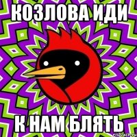 козлова иди к нам блять