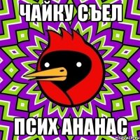 чайку съел псих ананас