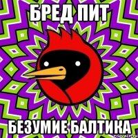 бред пит безумие балтика