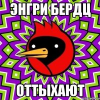 энгри бердц оттыхают