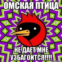 омская птица не дает мне узбагоится!!!