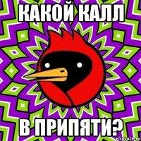 какой калл в припяти?