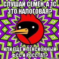 слушай семён, а 1с это налоговая? или ещё и пенсионный фсс и росстат?