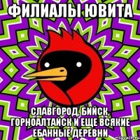 филиалы ювита славгород, бийск, горноалтайск и еще всякие ебанные деревни