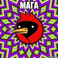 мага 