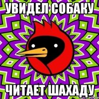 увидел собаку читает шахаду