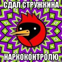 сдал стружкина наркоконтролю