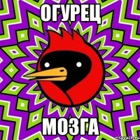 огурец мозга