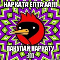 нарката епта аа!!! пакупай наркату ;)))