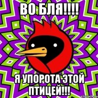 во бля!!! я упорота этой птицей!!!