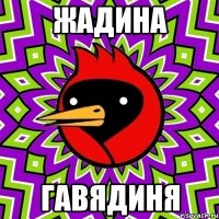 жадина гавядиня